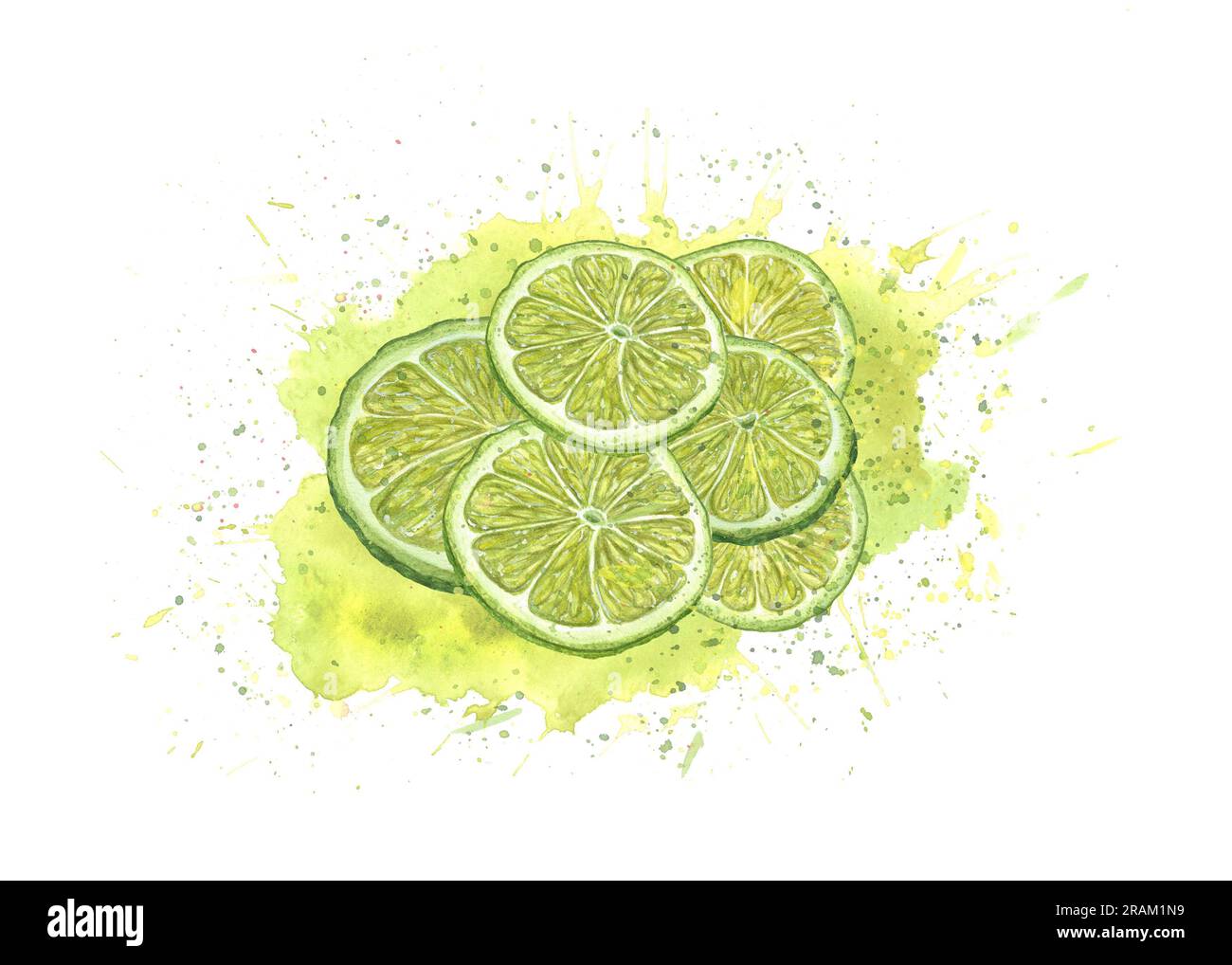 Aquarelle tranches de citron vert frais dans l'éclaboussure de jus isolé sur fond blanc. Spray juteux, agrumes mûrs. Illustration lumineuse pour un design créatif, cocktail Banque D'Images
