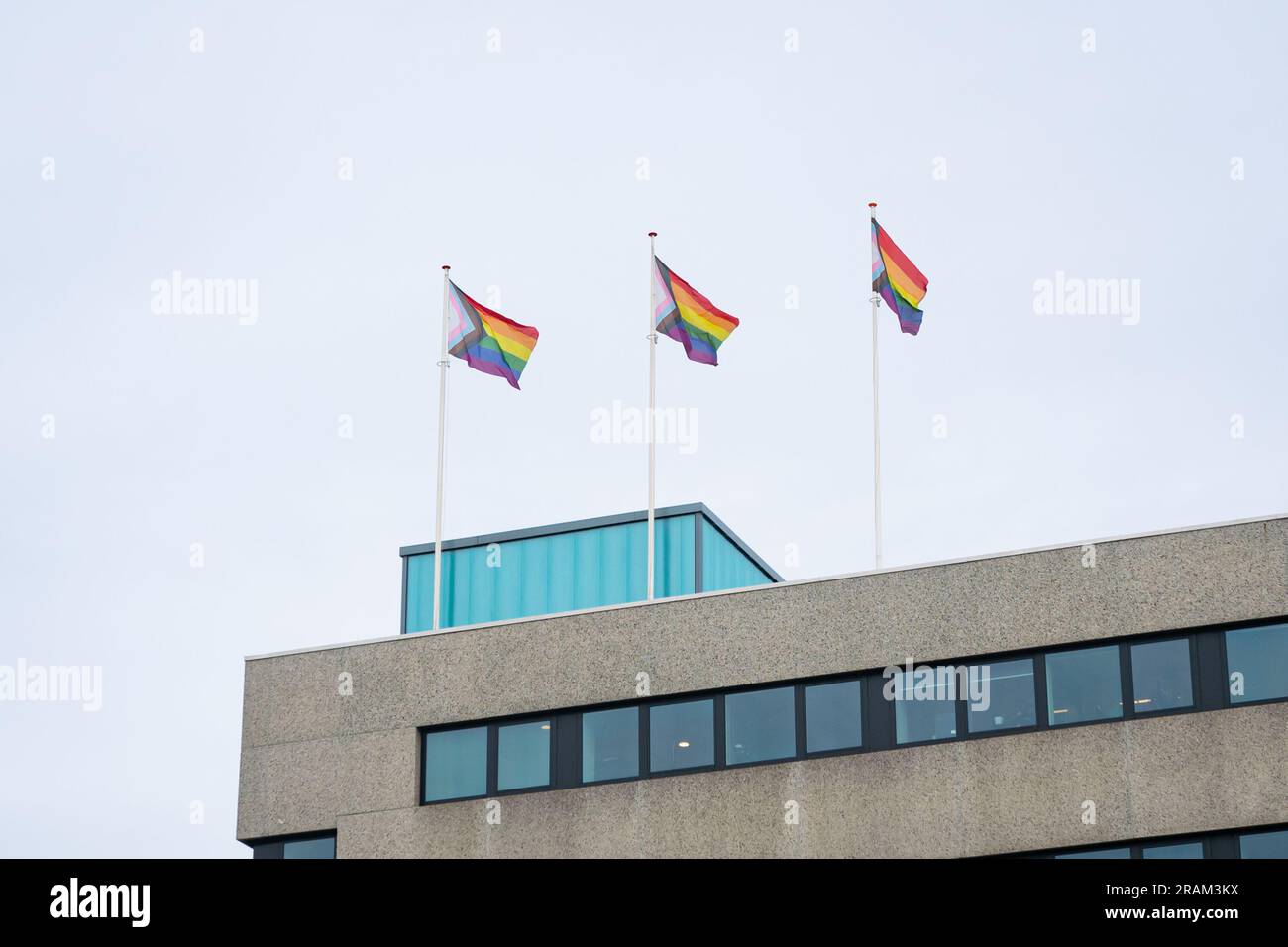 Brandissant des drapeaux de fierté transgenre sur le sommet d'un bâtiment à Amsterdam, aux pays-Bas Banque D'Images