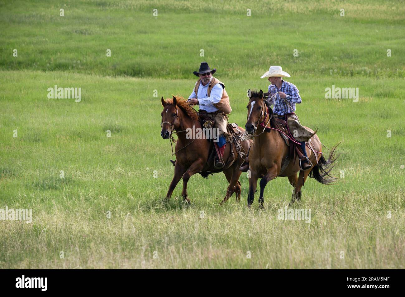 Dennis Ranch, Red Owl, Dakota du Sud. Banque D'Images