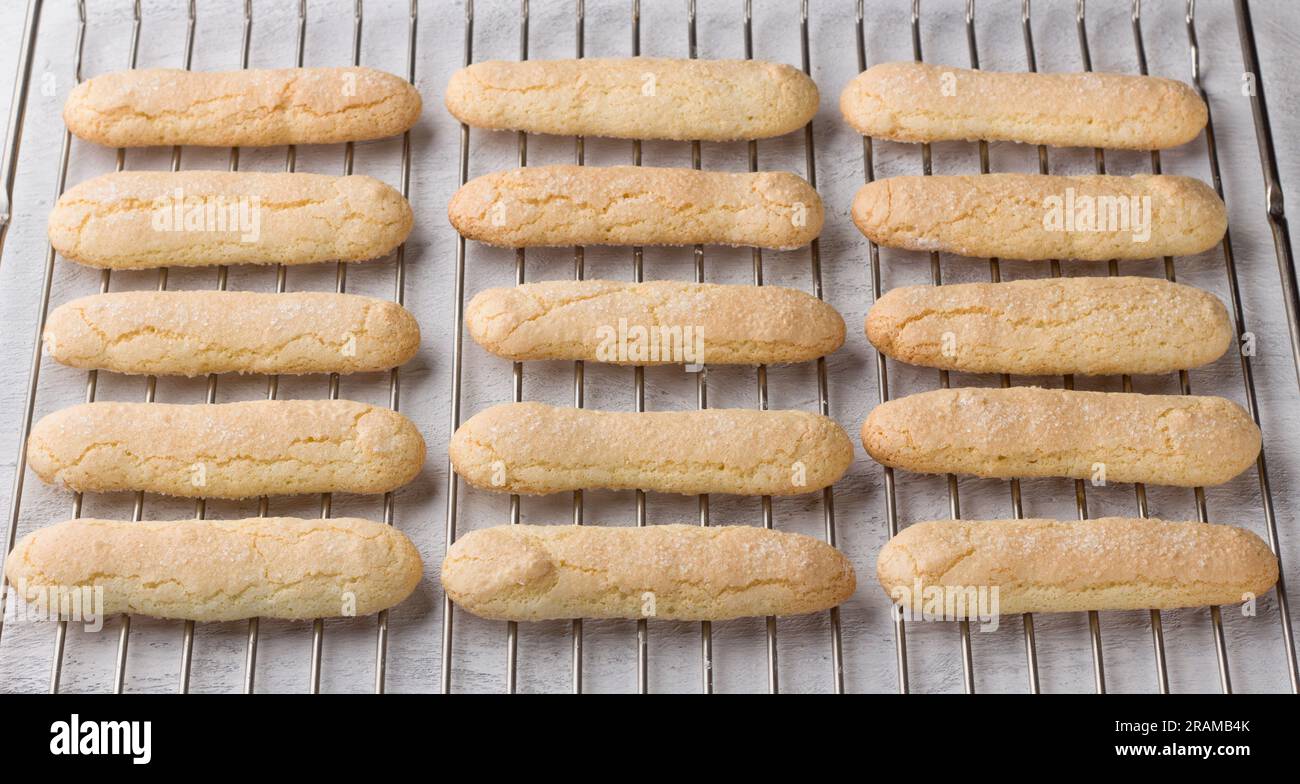 Biscuits savoiardi maison fraîchement cuits sur une grille. Banque D'Images