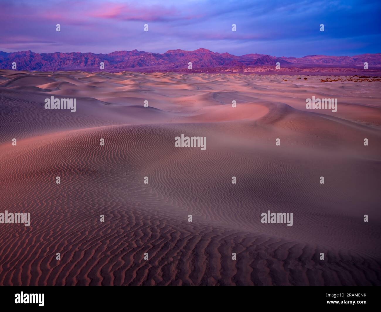 Mesquite Dunes à la tombée de la nuit, parc national de la Vallée de la mort, Californie. Banque D'Images