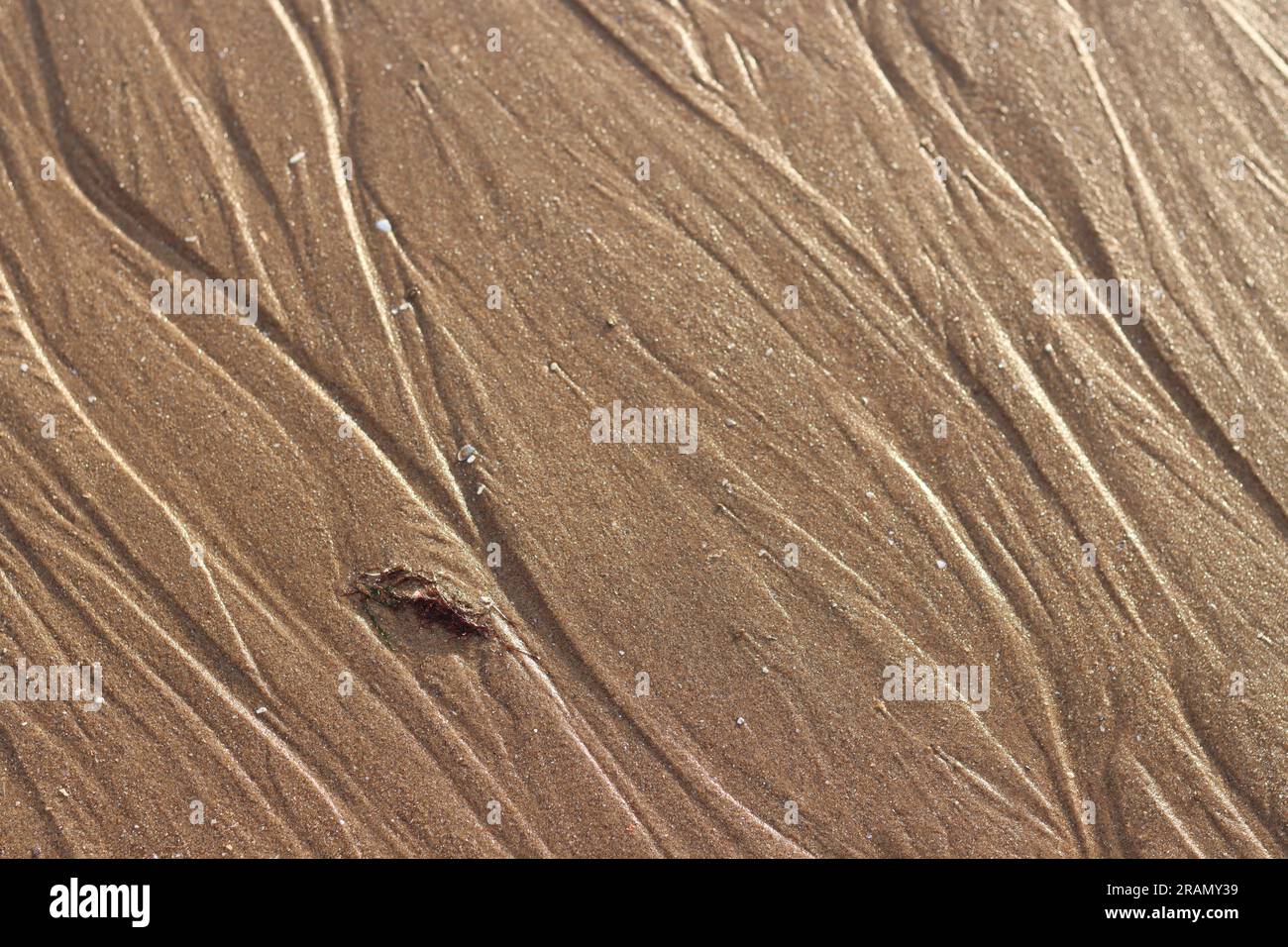 Texture de sable de sol mouillé et cailloux à la plage. Gros plan texture et lignes naturellement créées dans le sable de la mer. Banque D'Images