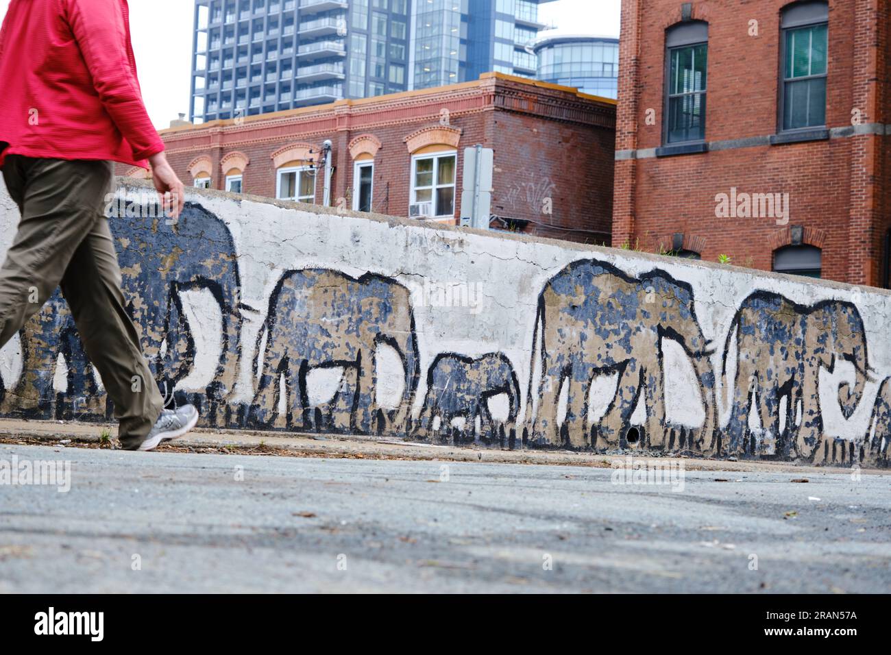fresque murale basse avec des éléphants d'art tandis que quelqu'un passe. centre-ville de halifax Banque D'Images