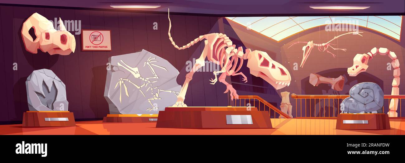 Squelettes fossiles de dinosaures au musée d'histoire, d'archéologie et de paléontologie. Intérieur du musée préhistorique avec des expositions d'os d'animaux anciens et d'empreintes de dinosaures, illustration de dessin animé vectoriel Illustration de Vecteur