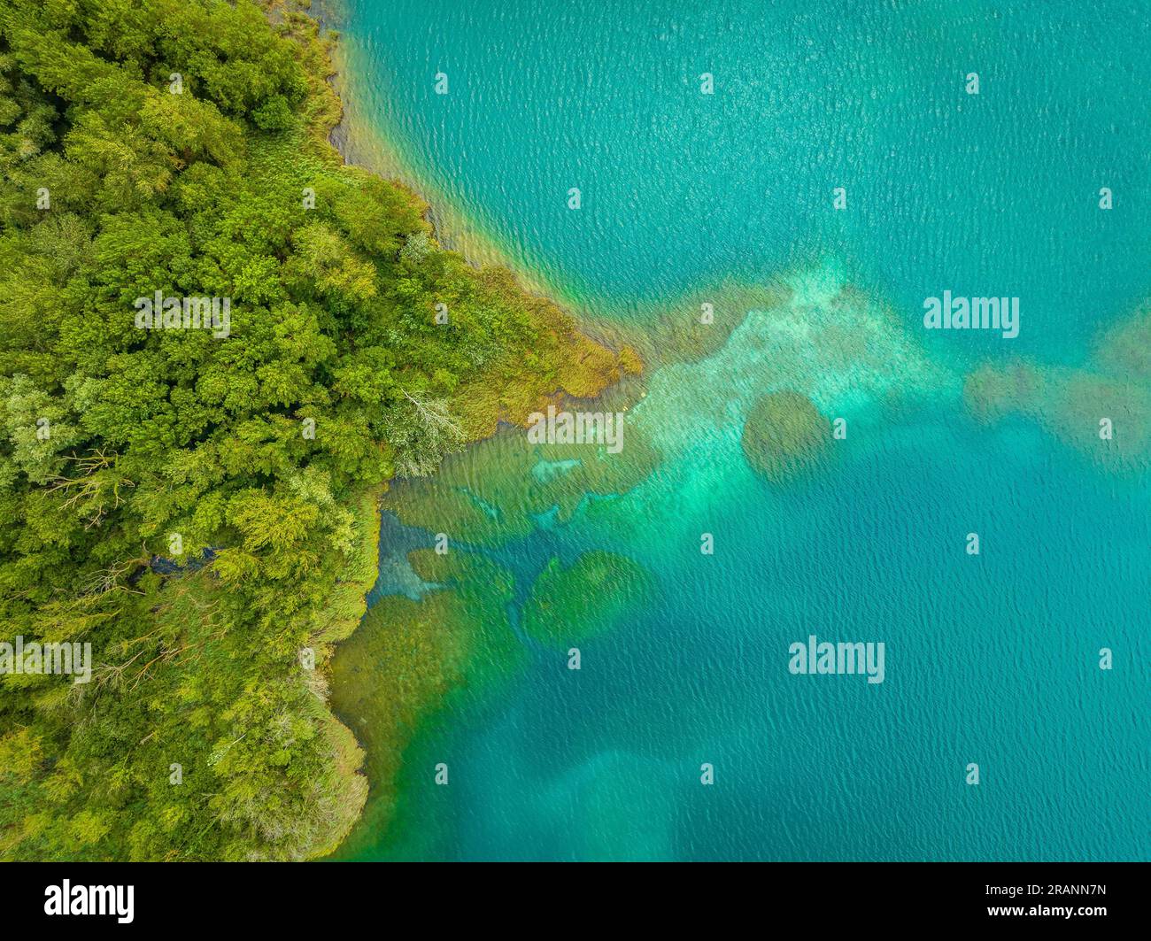 Vue zénithale aérienne du lac Estany de Banyoles, de la forêt riveraine et des détails sous-marins (Pla de l'Estany, Gérone Catalogne) Banque D'Images