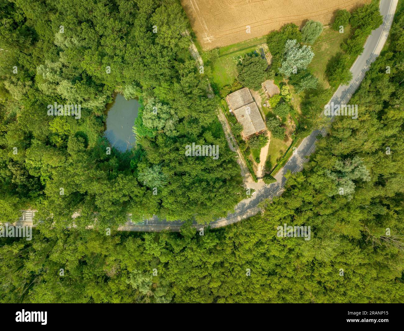 Vue zénithale aérienne de la lagune CAN Sisó et de la forêt riveraine à côté du lac Banyoles (Pla de l'Estany, Gérone Catalogne) Banque D'Images