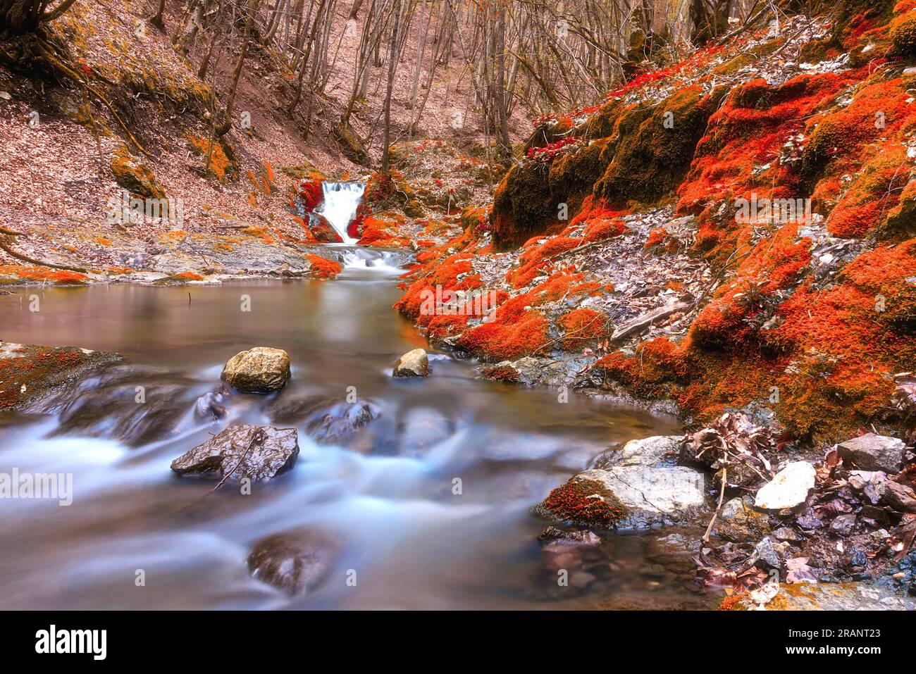 Belle vallée de montagne en automne, gorges de Borzesti dans les montagnes Apuseni, Roumanie Banque D'Images