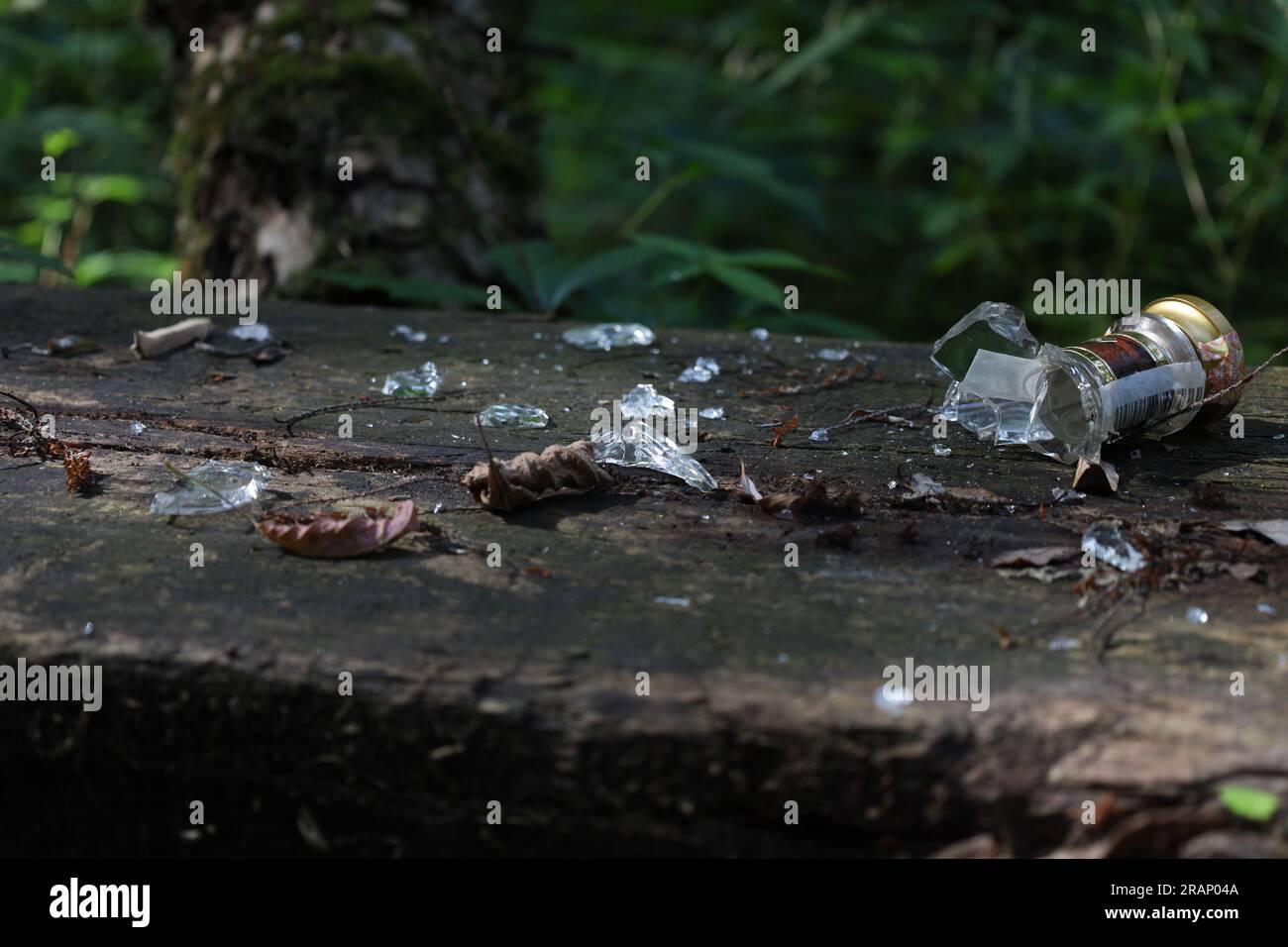 Bouteille cassée dans le parc, lieu de repos, écologie dans la forêt Banque D'Images
