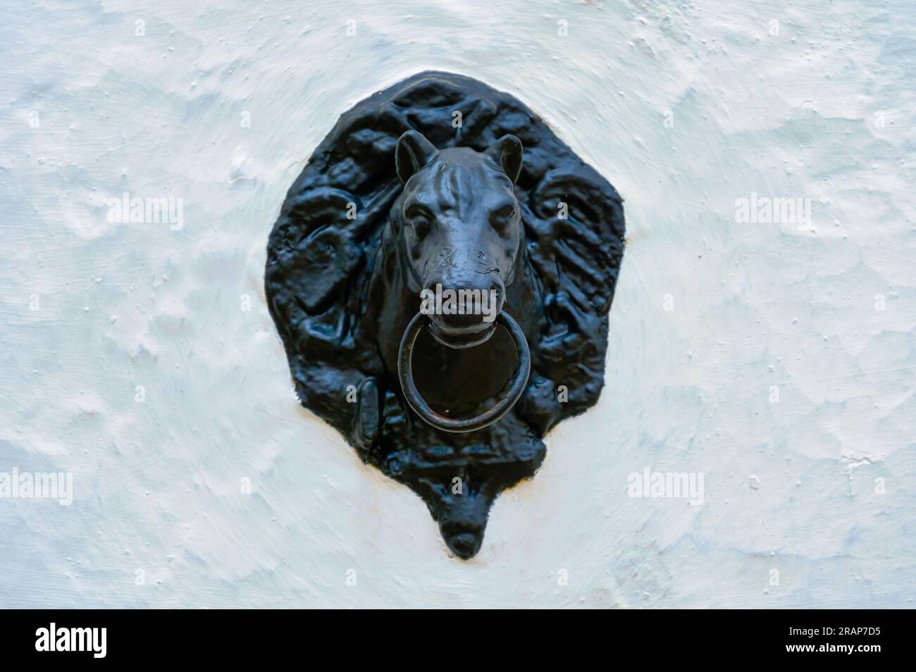 Séville, Espagne - 20 janvier 2023 : statue de tête de cheval en métal dans le bâtiment des arènes. La sculpture est sur un fond de mur violet. Banque D'Images