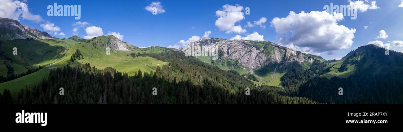 Pente de montagne verte partie du Mont Blanc massif dans la brume atmosphérique avec des roches sinueuses vues du Col de Joux plane. Large natu Banque D'Images