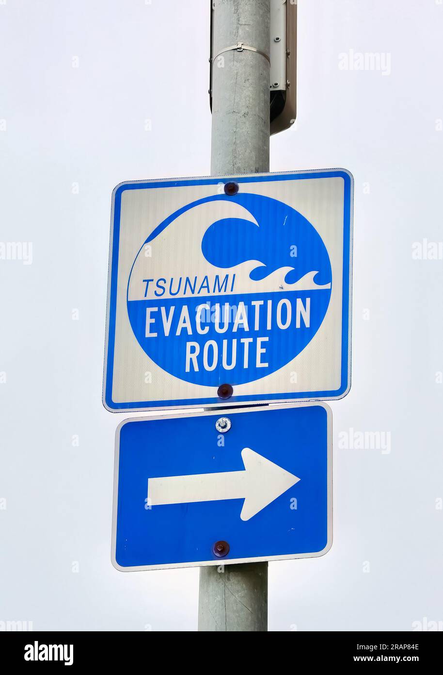 Bleu tsunami signe de route d'évacuation et flèche avec un graphique de vague sur un poteau près du front de mer de la baie San Francisco Californie USA Banque D'Images