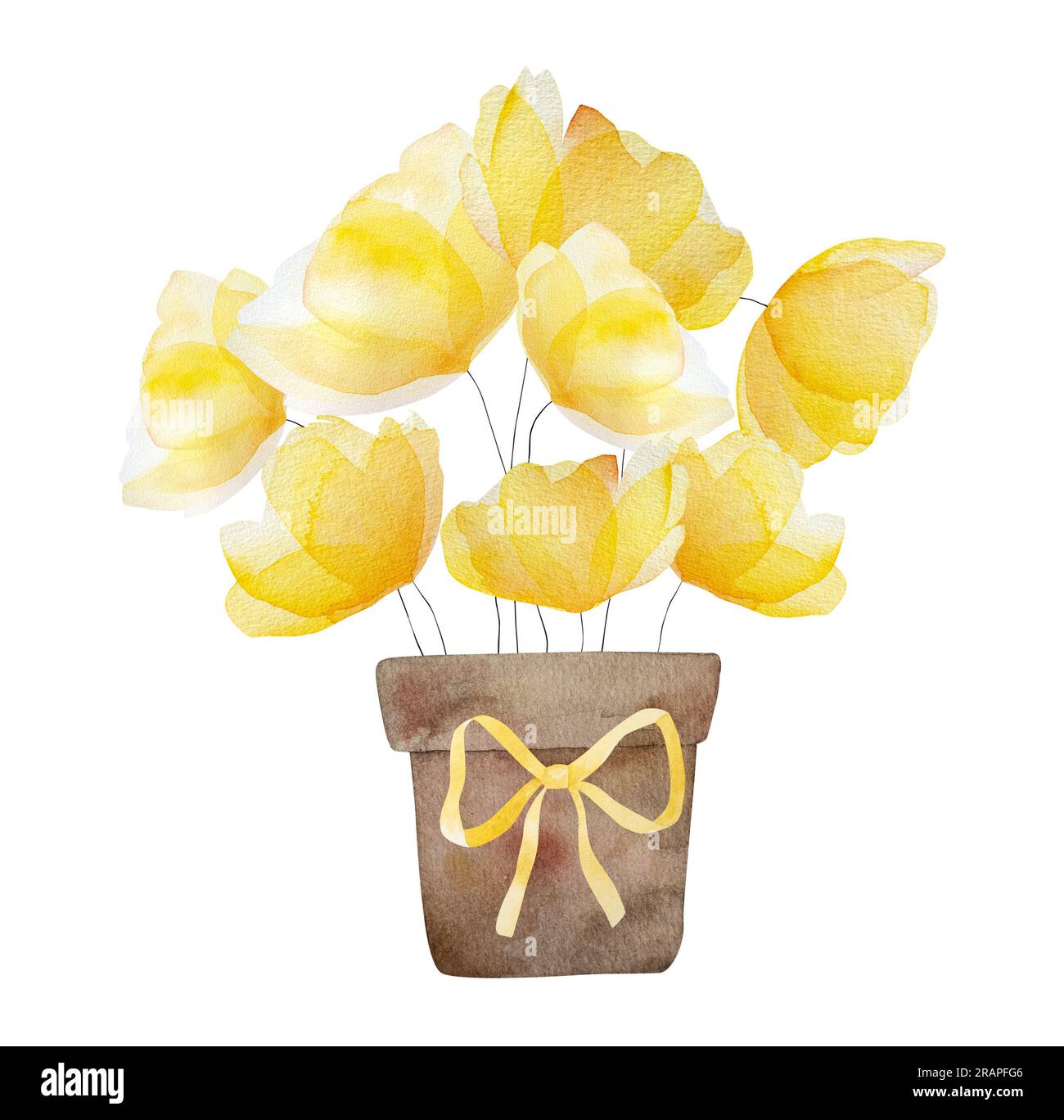 Aquarelle printemps fleurs d'été fleurissent dans le jardin rustique pot. Bouquet floral jaune tendre pour la décoration et le motif carte postale Banque D'Images