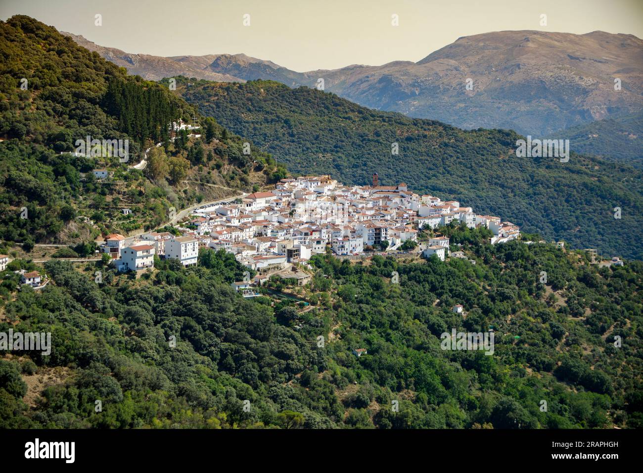 Vue au loin du village blanc d'Algatocin, dans la province de Malaga et entre les montagnes verdoyantes de la Serrania de Ronda Banque D'Images