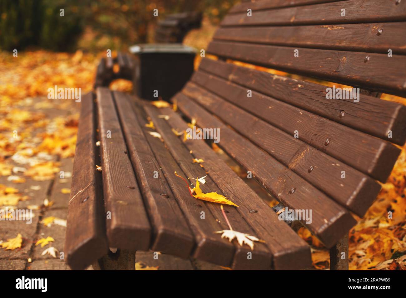 banc avec feuilles d'automne tombées dans le parc. Banque D'Images