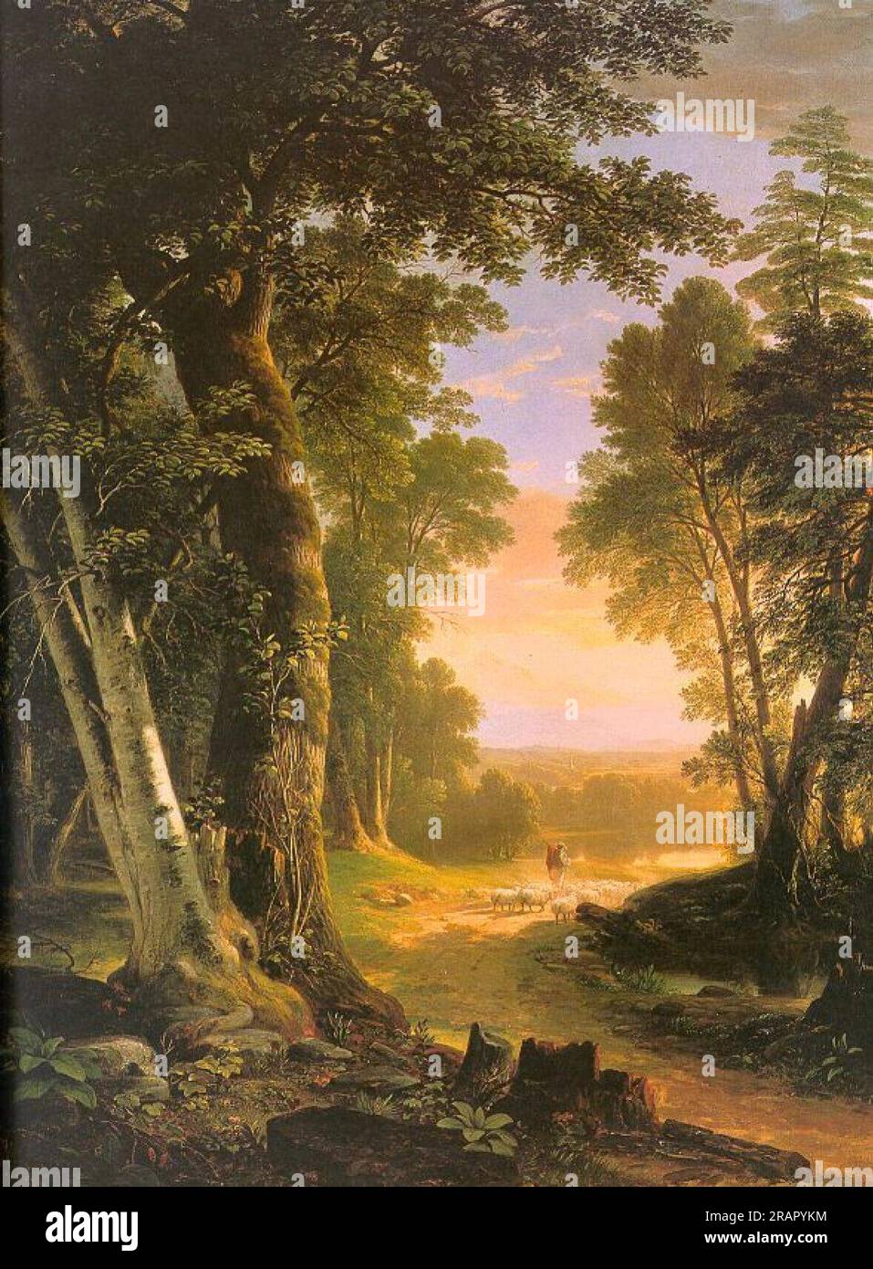 The Beeches 1845 par Asher Brown Durand Banque D'Images