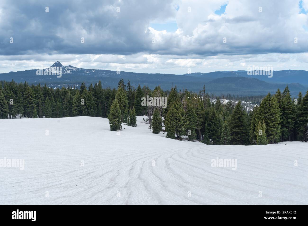 des lignes de neige fondante menant à une forêt de pins avec des montagnes en toile de fond. Banque D'Images