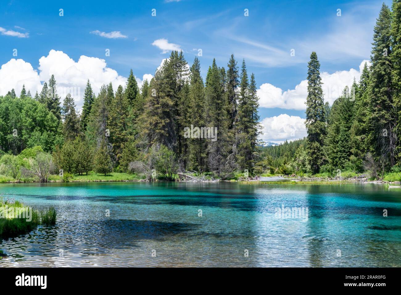 Les eaux bleues pittoresques du lac Kimball entouré de hautes forêts de sapins et de pins. Banque D'Images
