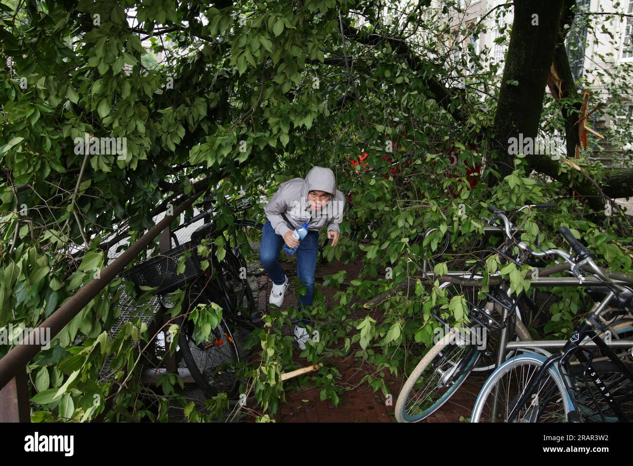 Amsterdam, pays-Bas. 05 juillet 2023. Un touriste se promène sous un arbre tombé dans la rue pendant les vents forts de la tempête Poly au canal Herengracht le 5 juillet 2023 à Amsterdam, pays-Bas. Une femme à Haarlem près d'Amsterdam est morte à l'hôpital de ses blessures après qu'un arbre est tombé sur sa voiture, l'aéroport de Schiphol a annulé tous les vols pendant la matinée, plusieurs arbres sont tombés. La tempête Polly a traversé les pays-Bas avec des rafales de vent allant jusqu'à 146 km/h (photo de Paulo Amorim/Sipa USA) crédit : SIPA USA/Alamy Live News Banque D'Images