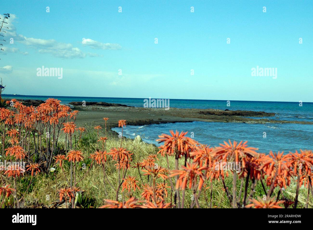 paysage côtier méditerranéen avec végétation autochtone Banque D'Images