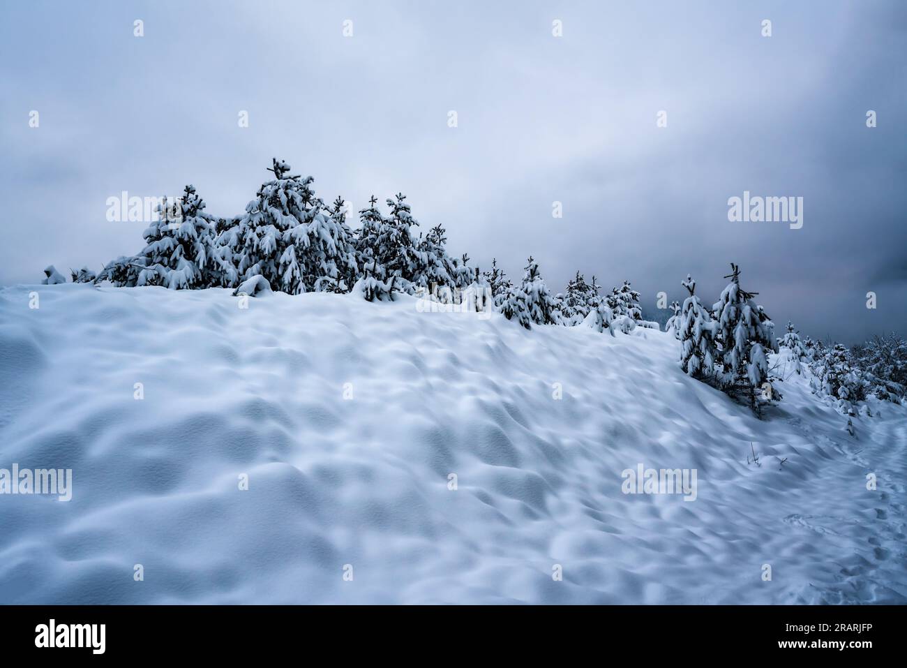 Chemin à travers la neige fraîche profonde dans la forêt alpine au crépuscule, Wildermieming, Tyrol, Autriche Banque D'Images