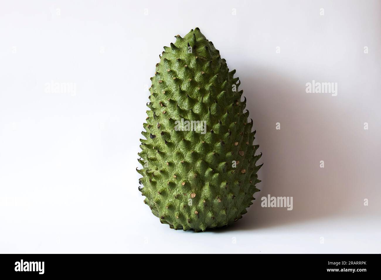 Fruit colombien délicieux, guanabana ou annona muricata Banque D'Images