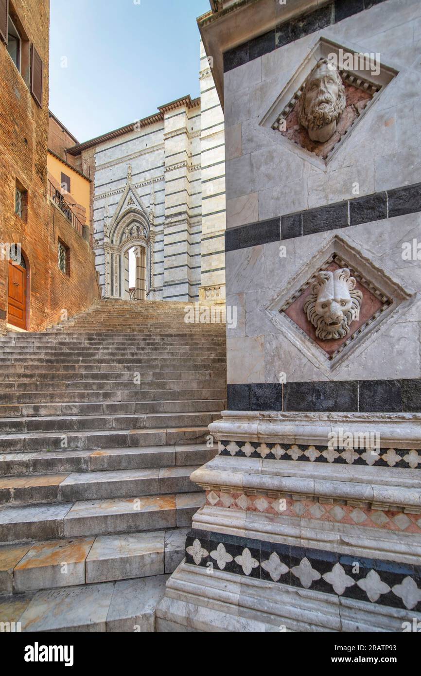 Le bain, Sienne, Toscane, Italie Banque D'Images