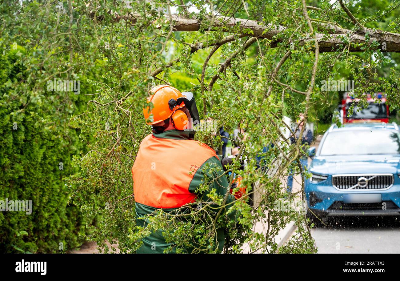 Wentorf BEI Hamburg, Allemagne. 05 juillet 2023. Un arbre tombé se trouve de l'autre côté d'une route et est coupé par les pompiers. La tempête Poly cause des dégâts dans le nord de l'Allemagne. Crédit : Daniel Bockwoldt/dpa/Alamy Live News Banque D'Images