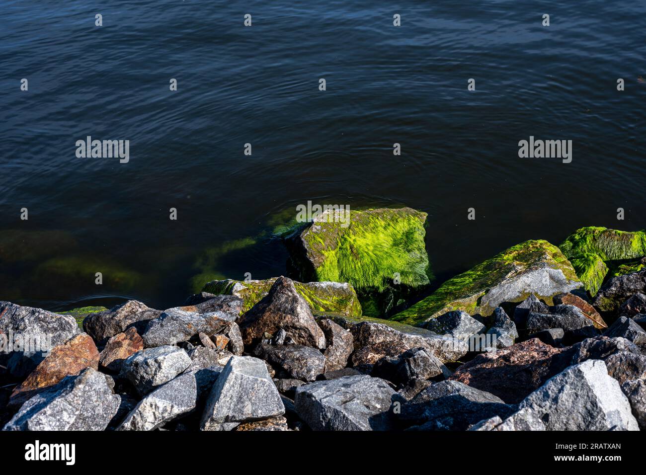 Pierres, eau, mer, lac et algues vertes sur pierres. Banque D'Images