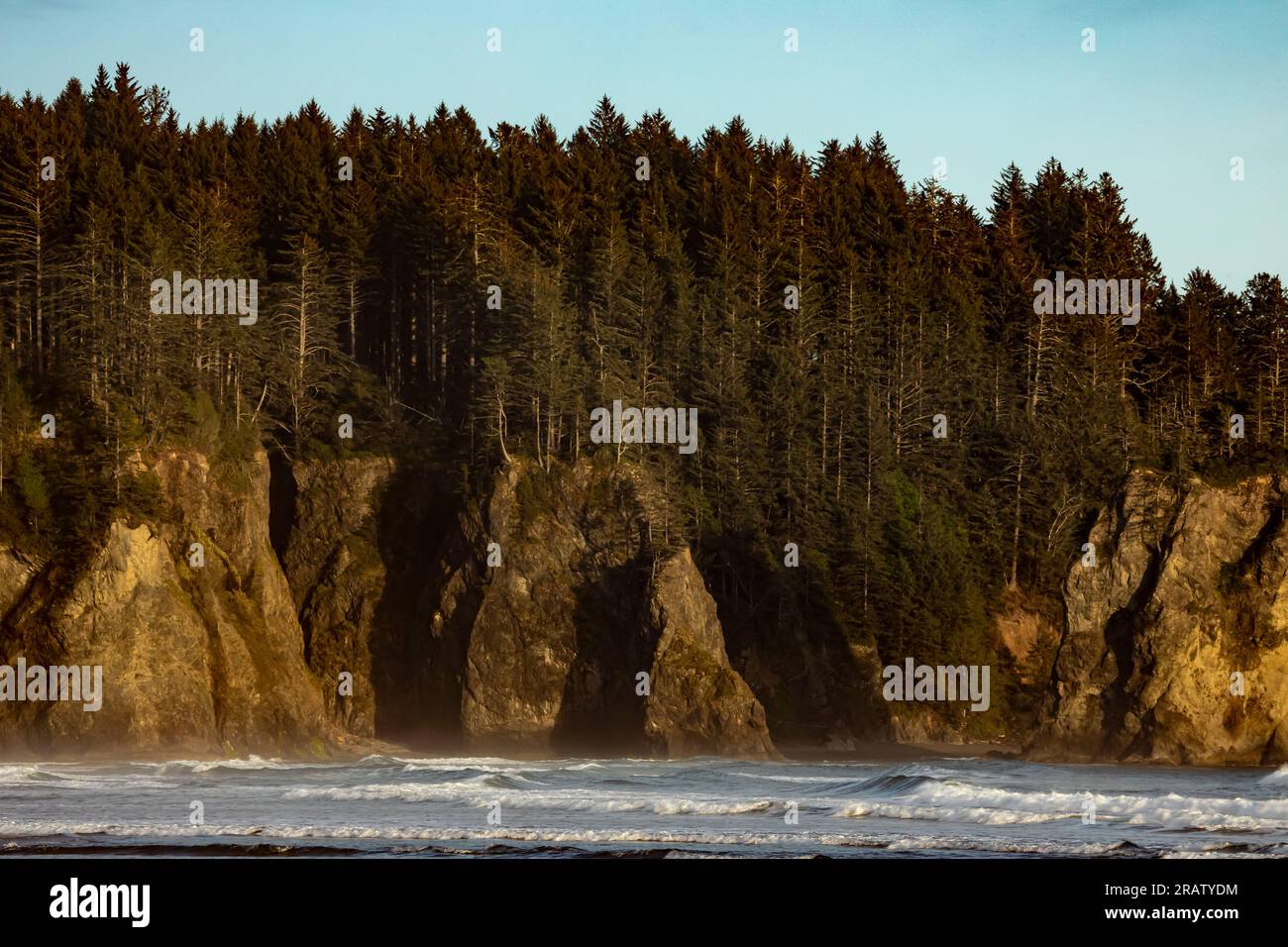 WA23469-00...WASHINGTON - falaises sur le promontoire à l'extrémité sud de second Beach dans le parc national olympique. Banque D'Images