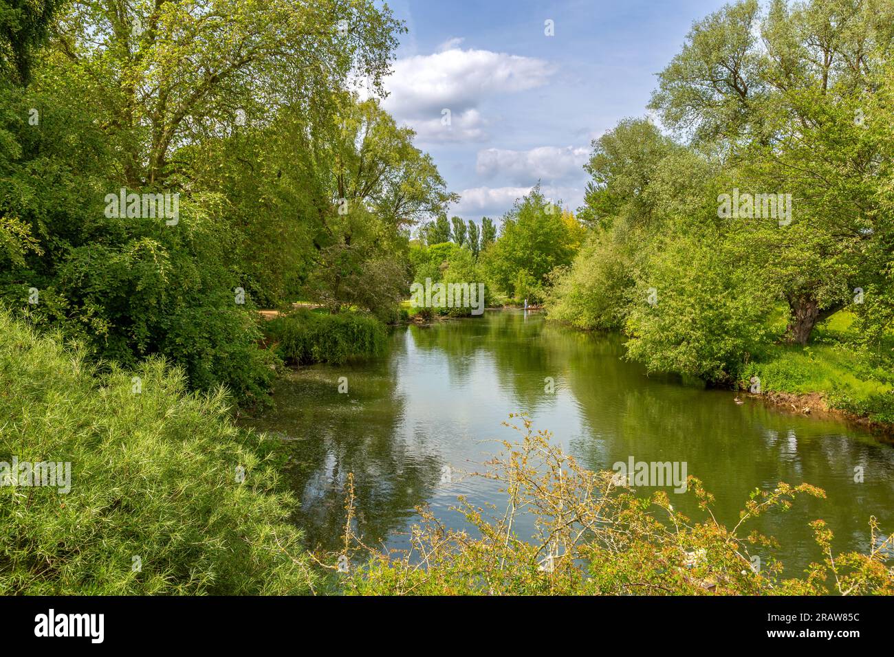 Paysage riverain paisible avec ciel bleu. Banque D'Images