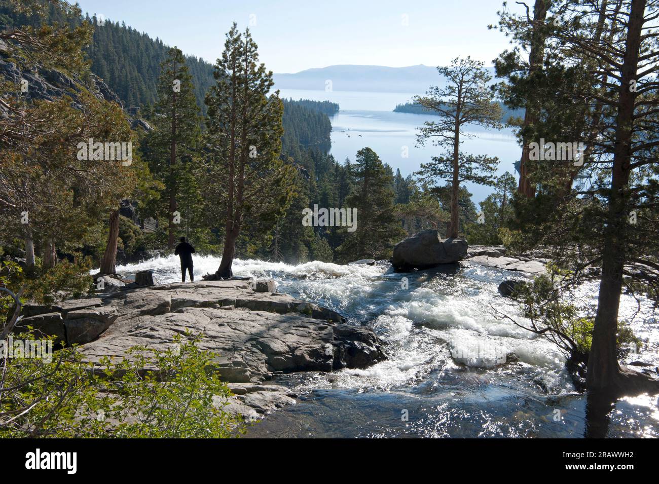 Un homme profitant de la vue d'un point de vue élevé près de la cascade dans Emerald Bay State Park, Lake Tahoe, Californie, États-Unis Banque D'Images