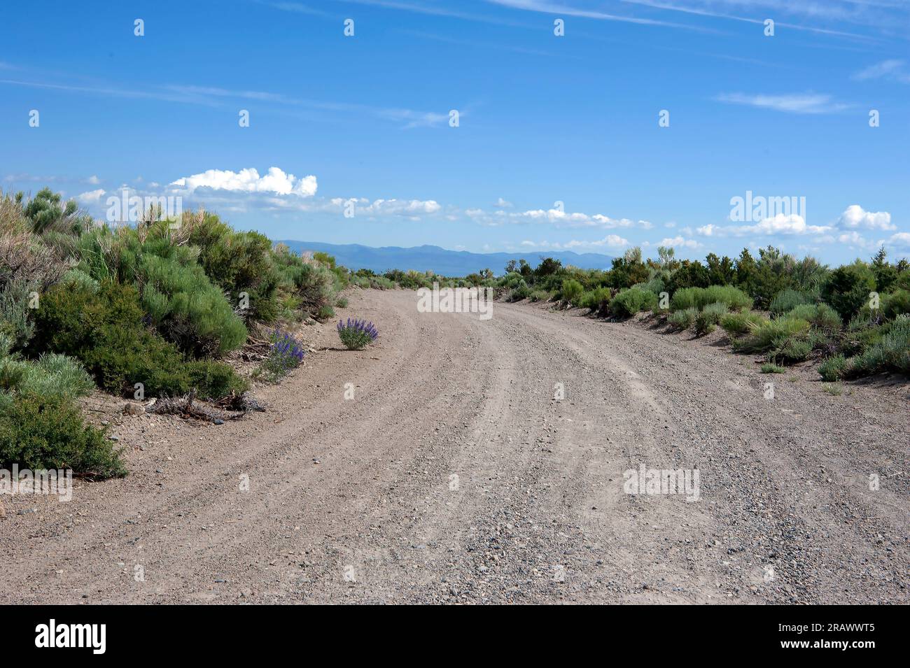 Chemin de terre près de la pittoresque Rte. 395 en Californie du Nord, États-Unis Banque D'Images