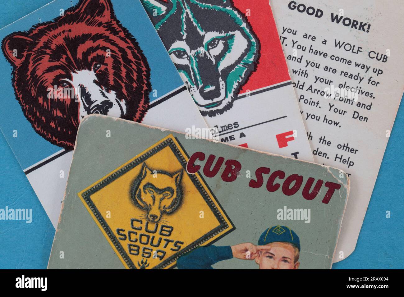 Cartes d'identité, Boy Scouts of America, Norfolk Virginia, États-Unis 1966 Banque D'Images