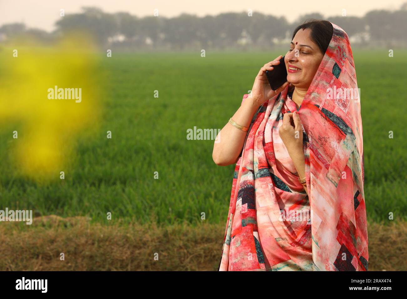 Heureuse femme indienne rurale debout dans un champ agricole de moutarde et surfant à travers le téléphone portable dans sa main. Banque D'Images