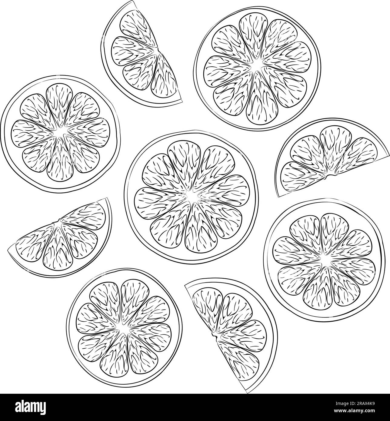 Illustration au trait de tranches de citron frais. Illustration vectorielle de coupes fraîches d'agrumes de neuf morceaux de citron. Image de salade de fruits d'été de citron Illustration de Vecteur