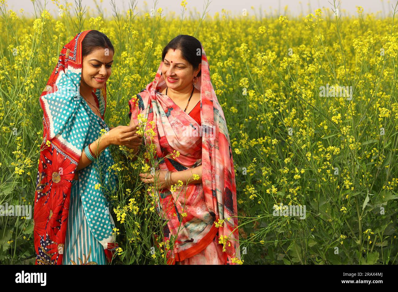 Heureuses femmes indiennes rurales debout dans un champ de moutarde appréciant les avantages du champ agricole de moutarde. Banque D'Images