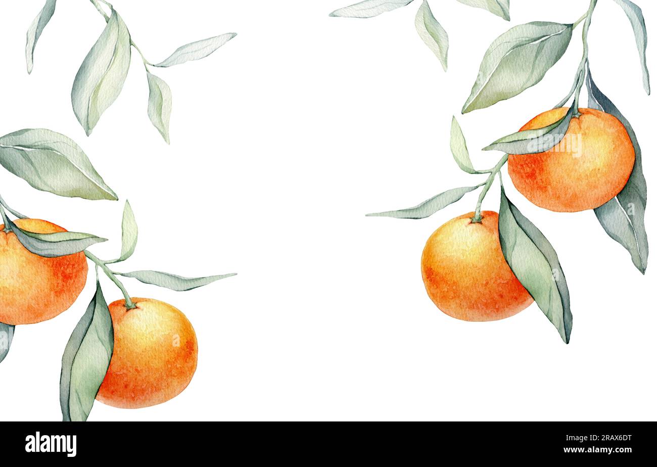 Cadre avec fruits orange. Illustration aquarelle dessinée à la main de cadre carré avec des agrumes et des feuilles vertes sur fond blanc isolé. Bordure Banque D'Images