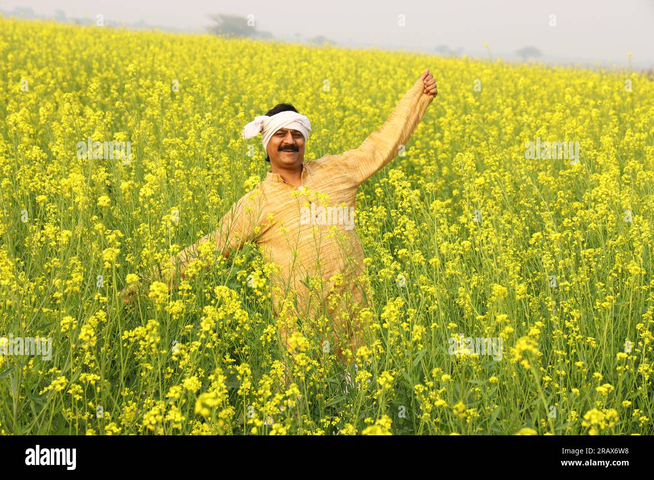Homme indien rural avec la moustache debout dans le champ de moutarde et il est heureux de voir les avantages agricoles du champ. Banque D'Images