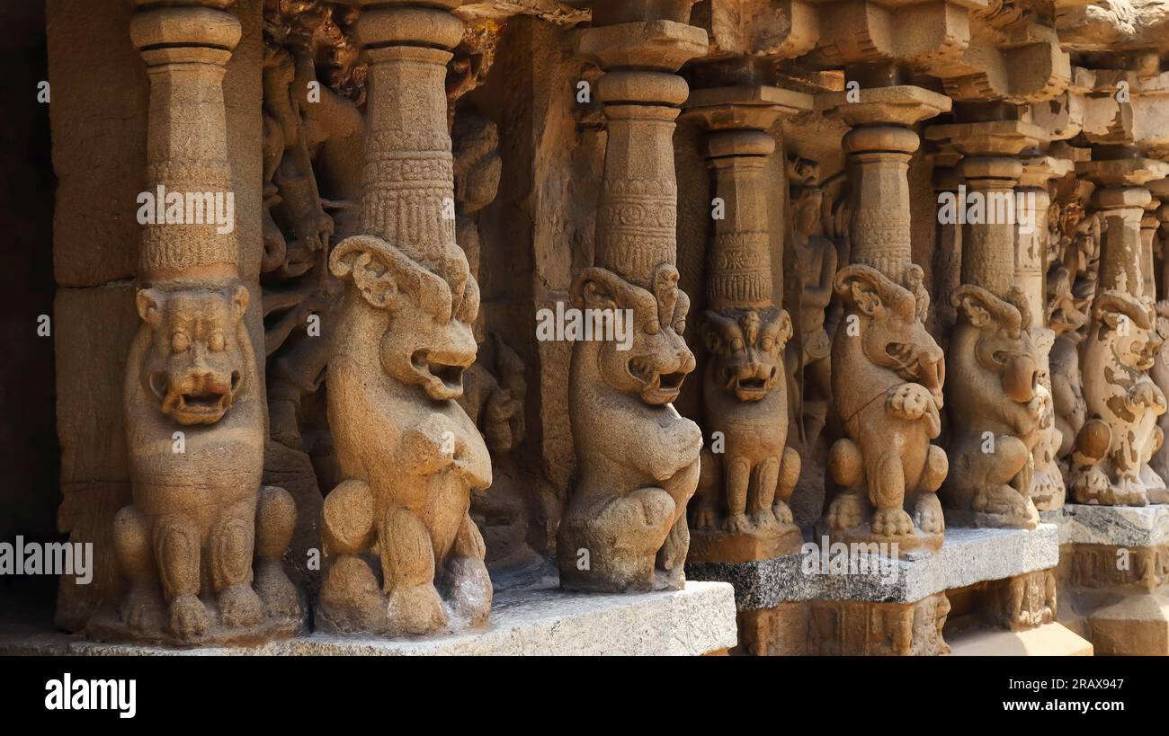 Sculpture sculptures de lions mythologiques sur les piliers du temple Kailasnathar, Kanchipuram, Tamilnadu, Inde. Banque D'Images