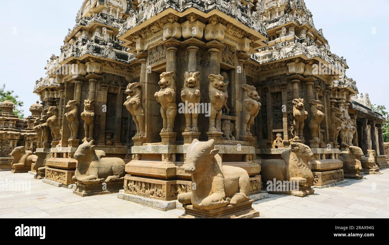Piliers avec lions mythologiques et idoles Nandi dans le temple de Kailasnathar, Kanchipuram, Tamilnadu, Inde. Banque D'Images