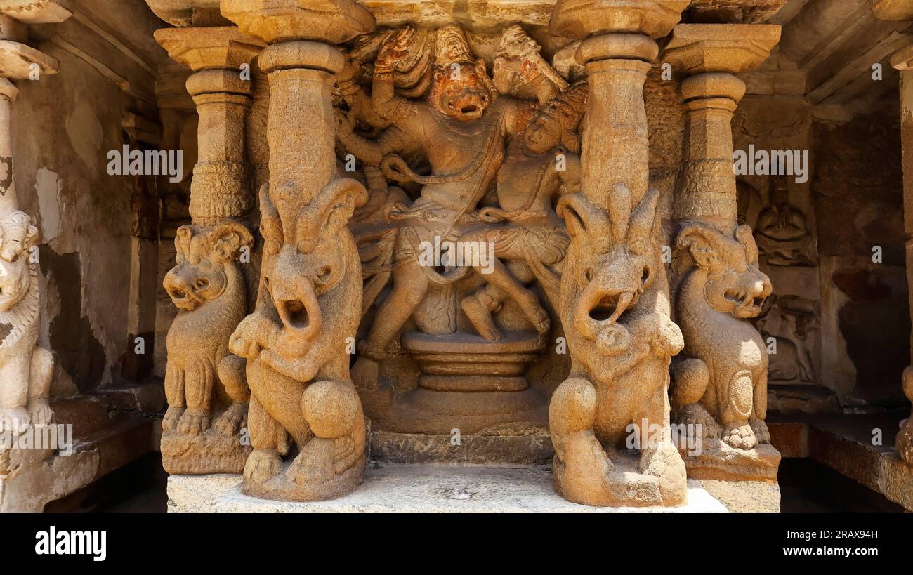 Sculpture Sculpture du Seigneur Narsimha sur le temple Kailasnathar, Kanchipuram, Tamilnadu, Inde. Banque D'Images