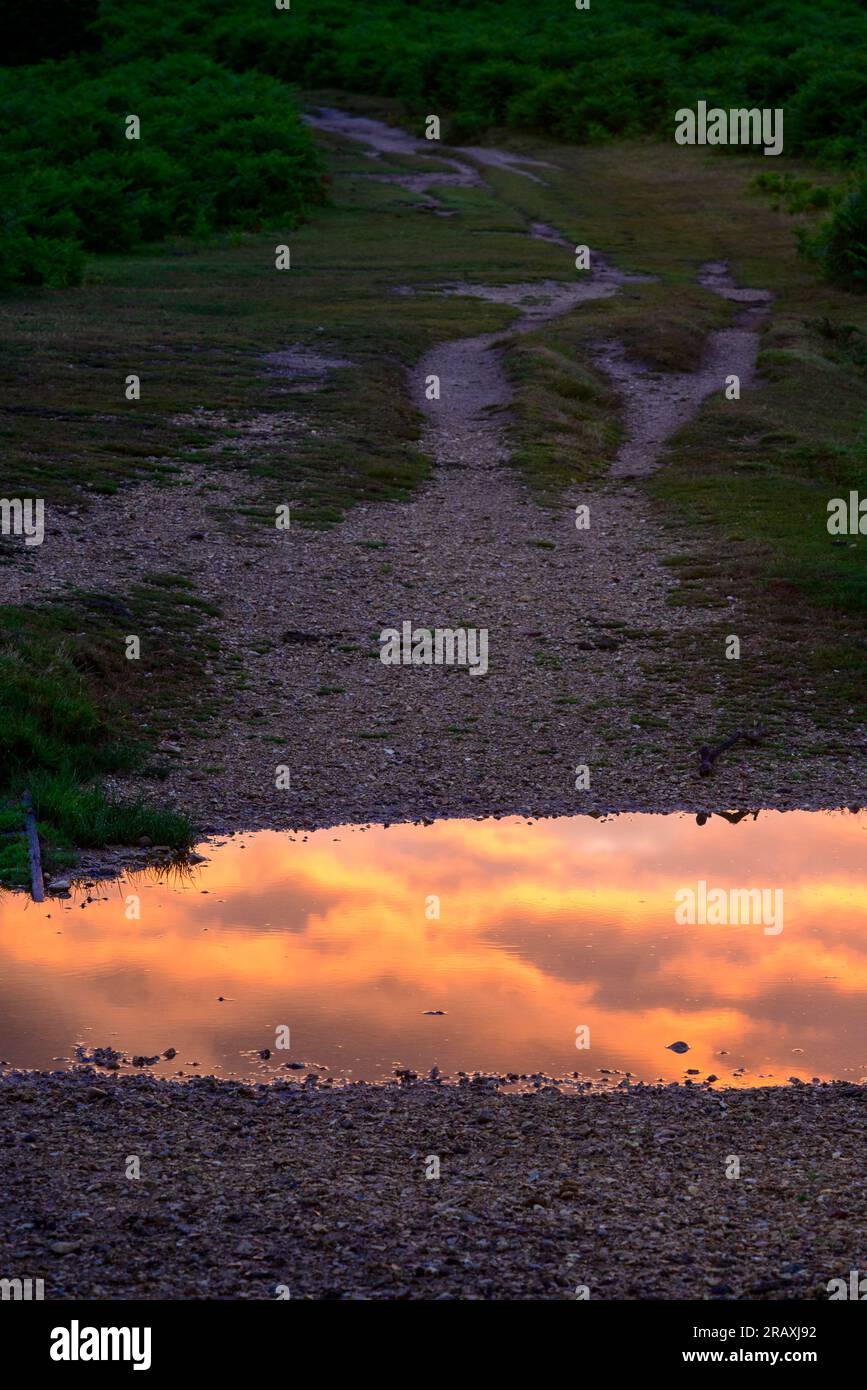 Flaque d'eau à travers un sentier dans la campagne avec reflet du ciel orange dans l'eau Banque D'Images