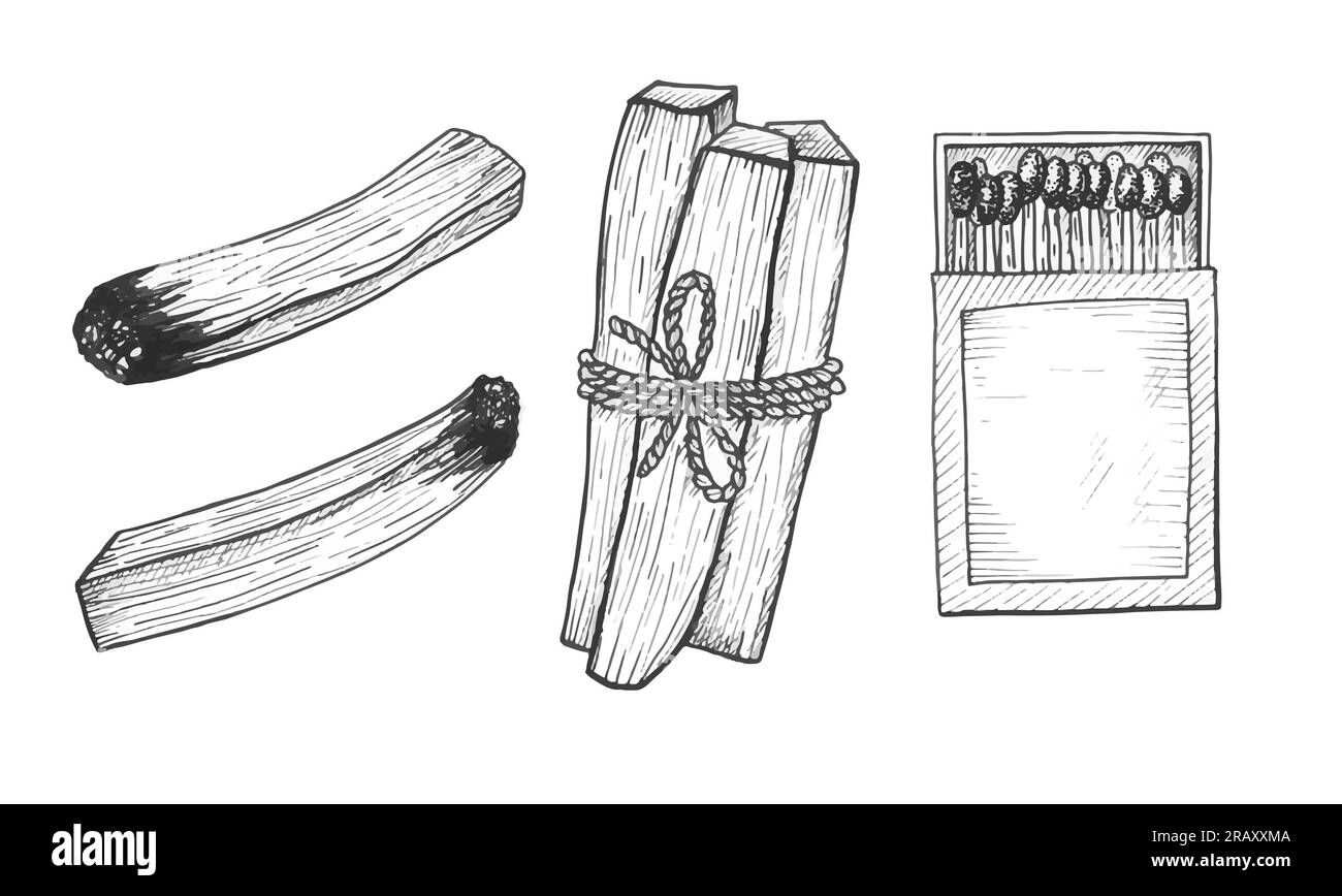 Palo santo bâtons illustration vectorielle Banque D'Images