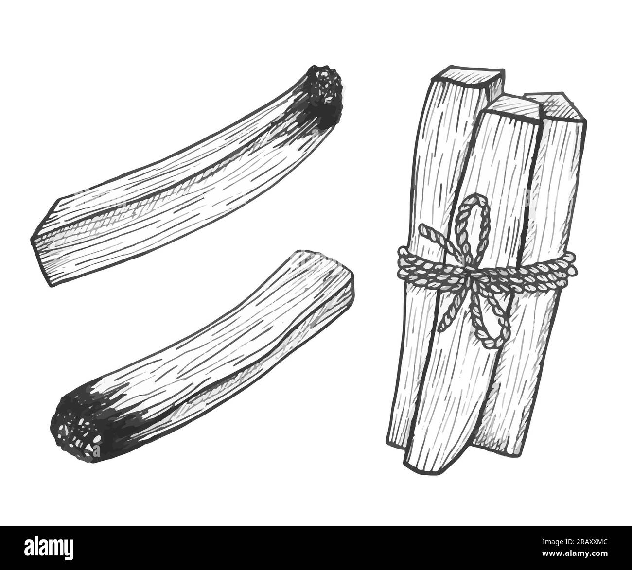 Palo santo bâtons illustration vectorielle Banque D'Images
