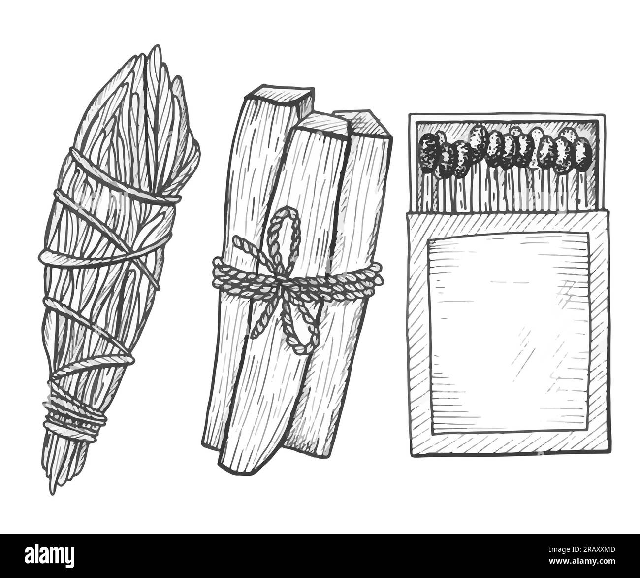 Bâtons de Palo santo et un bouquet d'herbes pour l'aromathérapie. illustration vectorielle Banque D'Images
