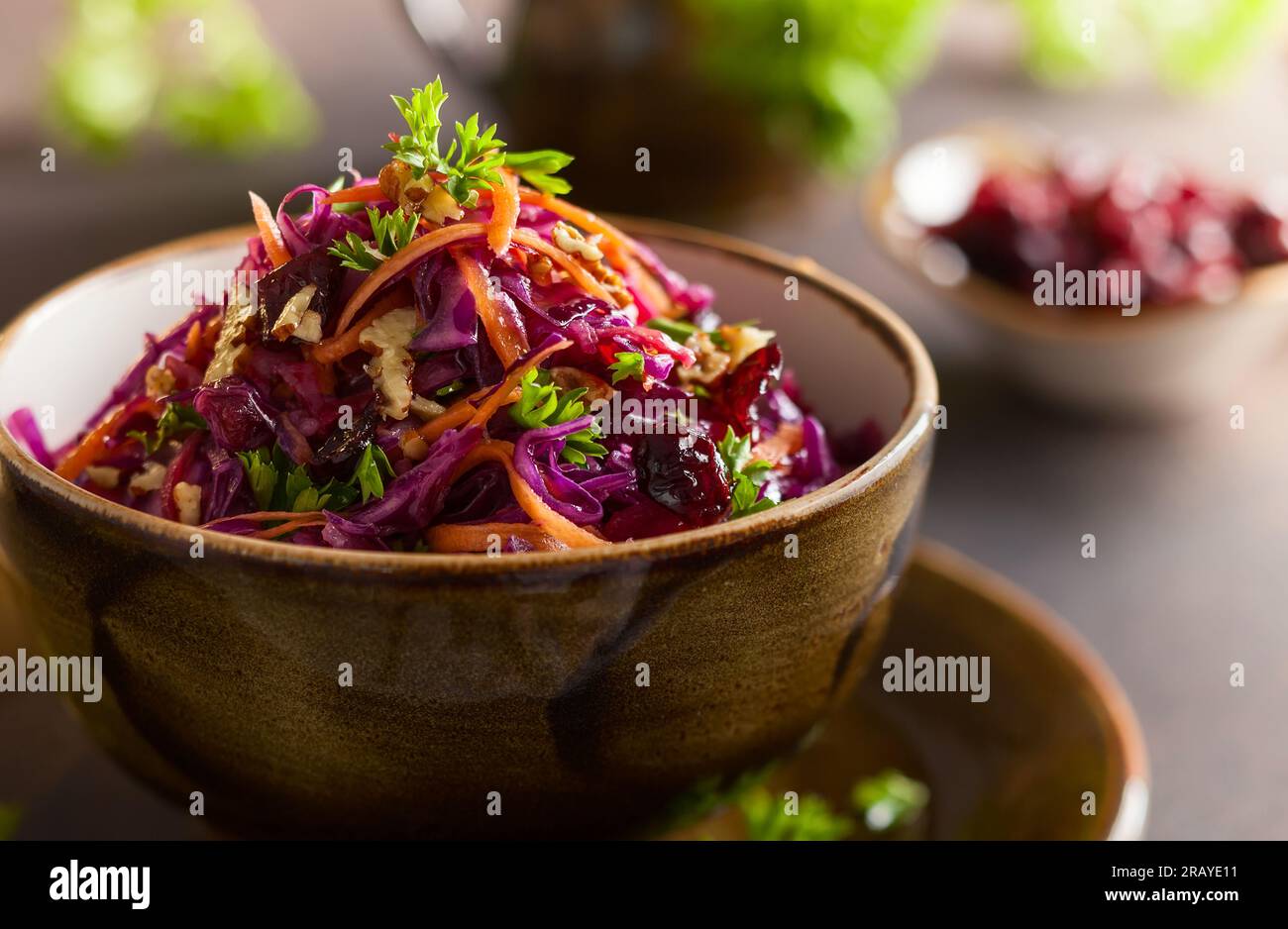 Chou rouge, carotte, salade de pommes avec noix et canneberge. Coleslaw pour la saison d'automne ou d'hiver. Banque D'Images