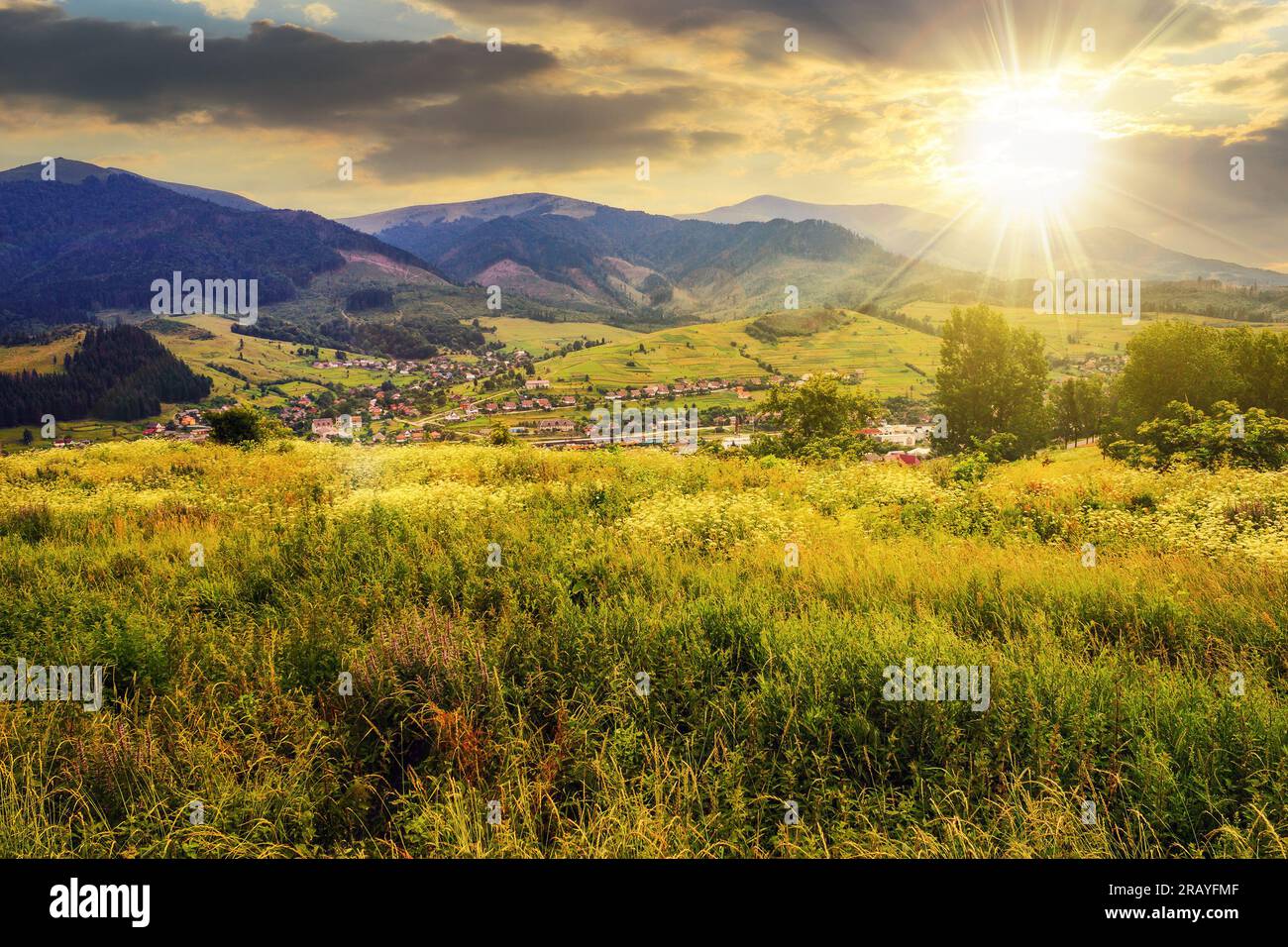 Prairie avec des herbes sauvages sur une colline face à la colonie dans les montagnes au coucher du soleil. beau paysage de campagne dans la lumière du soir Banque D'Images