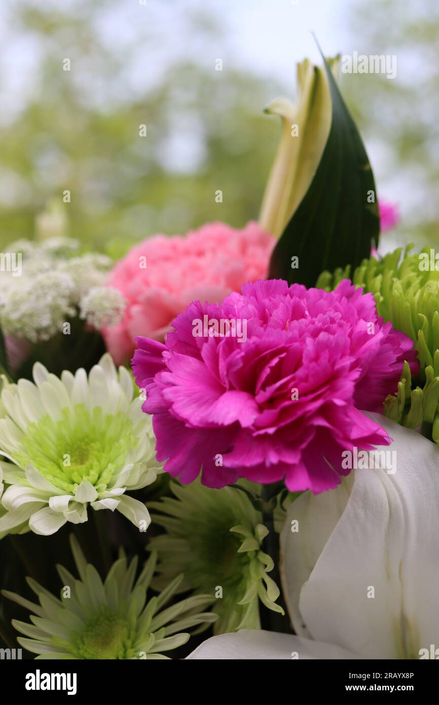 Un bouquet de fleurs mélangé avec un œillet rose Banque D'Images