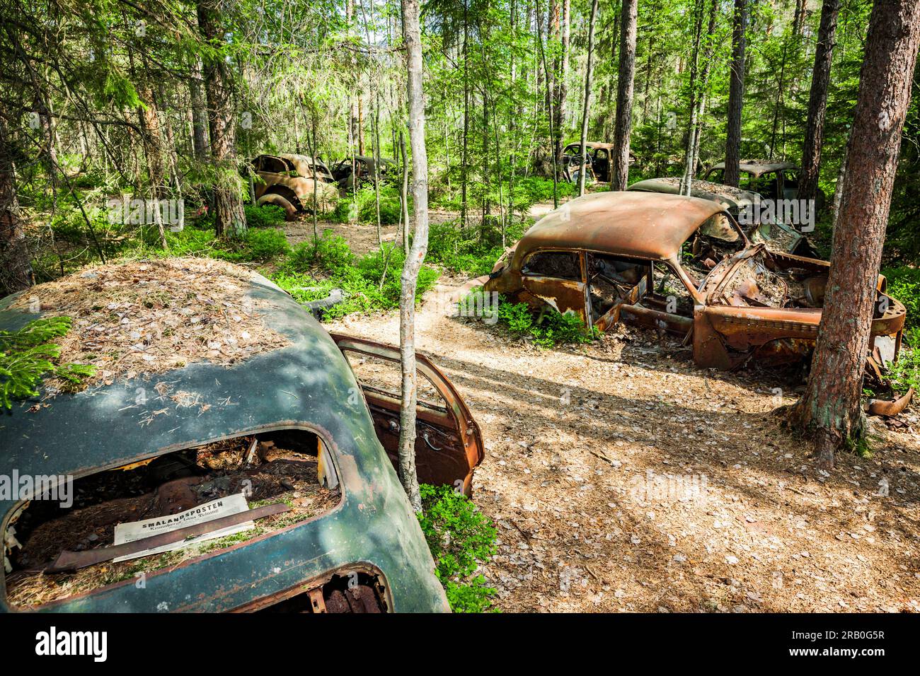 Voitures anciennes sur un cimetière de voitures dans une forêt Banque D'Images