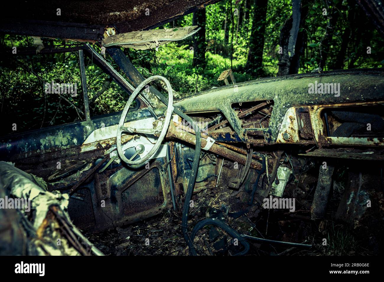 Voitures anciennes sur un cimetière de voitures dans une forêt Banque D'Images